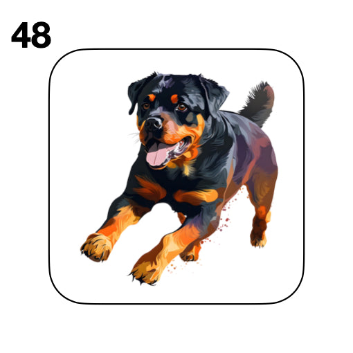 Coasters - 48x different images of Rottweiler dog breed