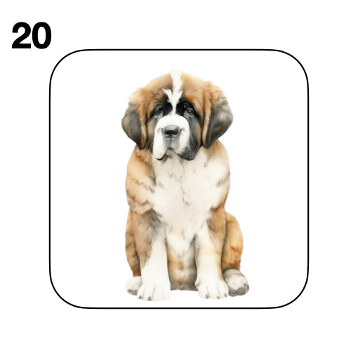 Coasters - 20x different images of St Bernard dog breed