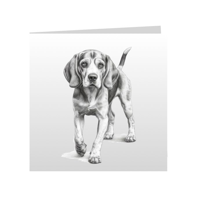 Square Greeting Cards with Sketched Beagles