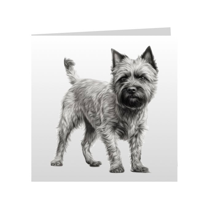 Square Greeting Cards with Sketched Cairn Terriers