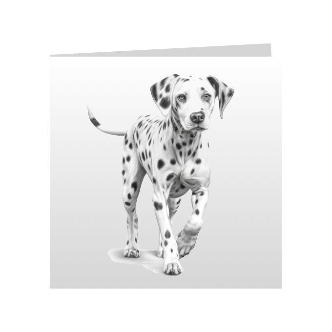 Square Greeting Cards with Sketched Dalmatian