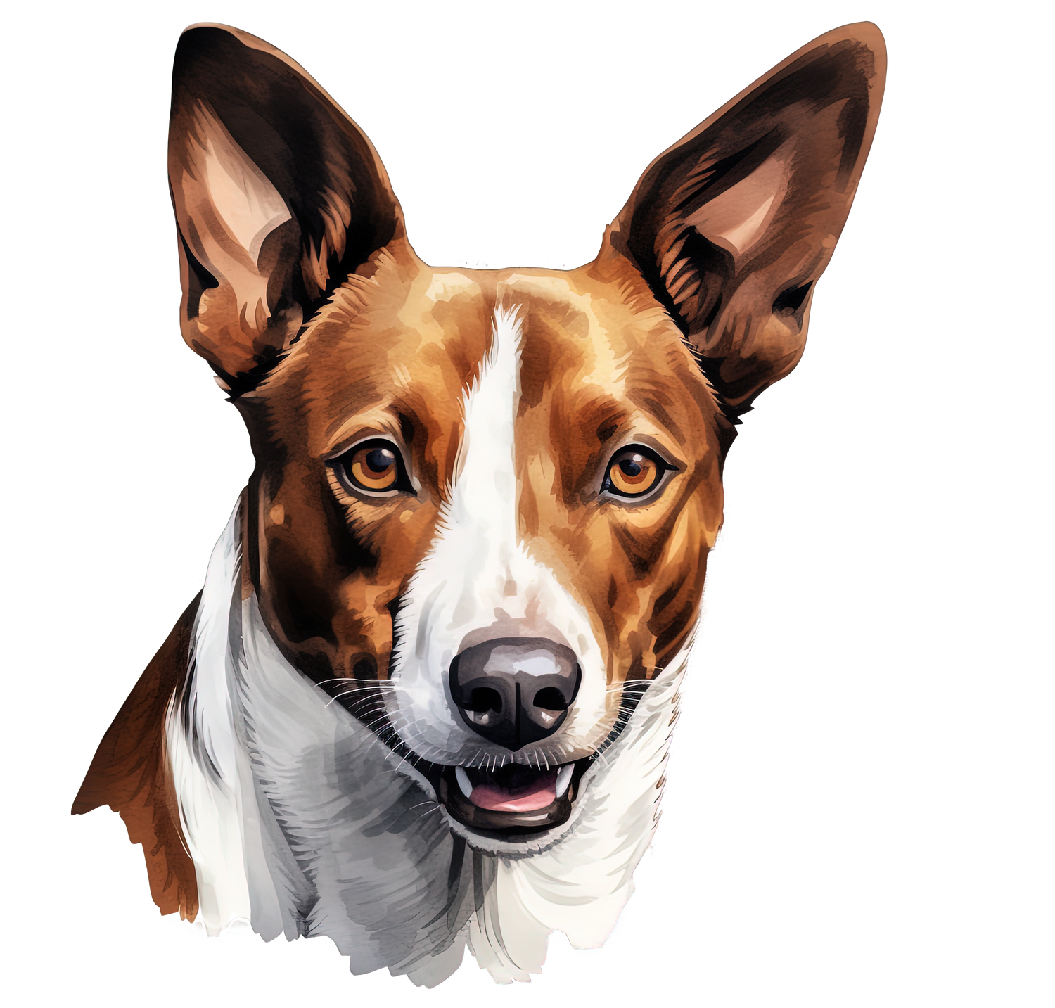 Basenji