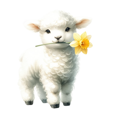 Kids - Baby Animals - Images x38