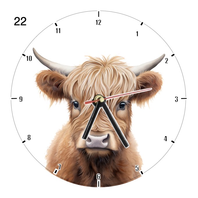 Clocks with 23x different Highland Cows - Group A
