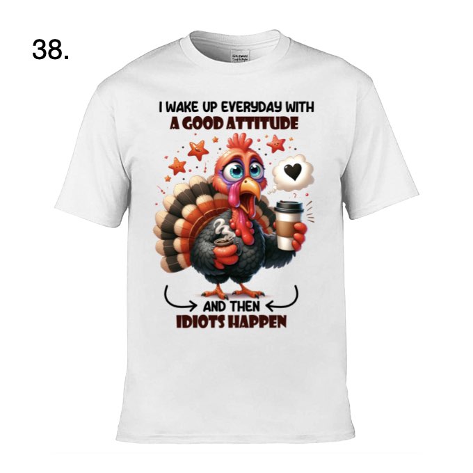 Adult - Sarcastic Sayings with Birds - 4x  images