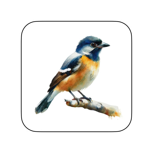 Coasters of Birds - Black & Brown