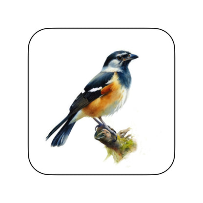 Coasters of Birds - Black & Brown