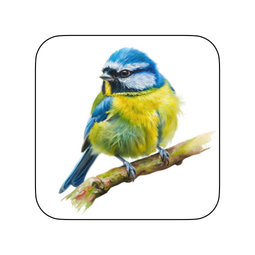Coasters of Birds - Blue & Yellow