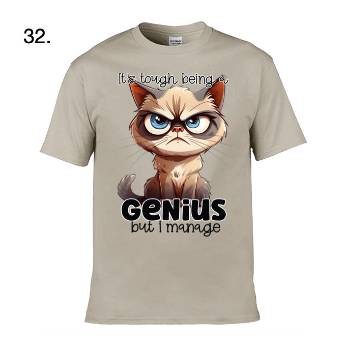 Adult - Sarcastic Sayings with Cats - 12x  images