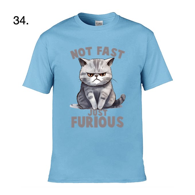 Adult - Sarcastic Sayings with Cats - 12x  images