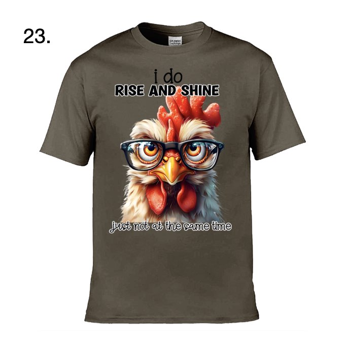 Adult - Sarcastic Sayings with Chickens - 36x  images