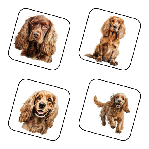 Coasters - 48x different images of Cocker Spaniel dog breed