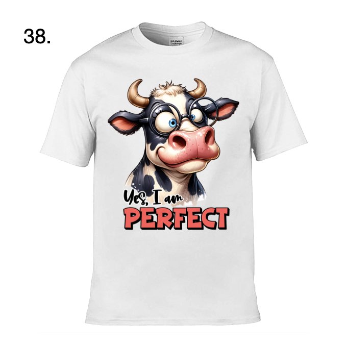 Adult - Sarcastic Sayings with Cows - 28x  images