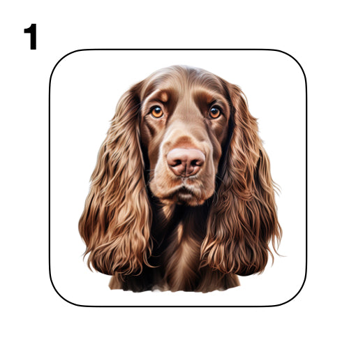 Coasters - 48x different images of Cocker Spaniel dog breed