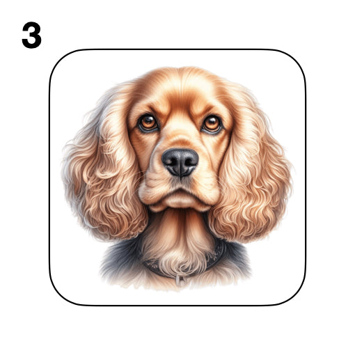 Coasters - 48x different images of Cocker Spaniel dog breed