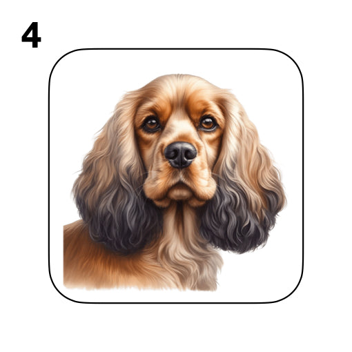 Coasters - 48x different images of Cocker Spaniel dog breed
