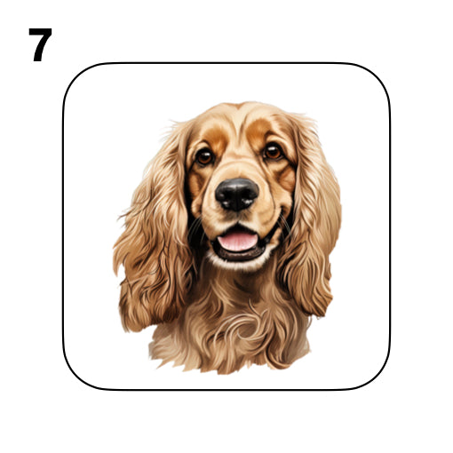 Coasters - 48x different images of Cocker Spaniel dog breed