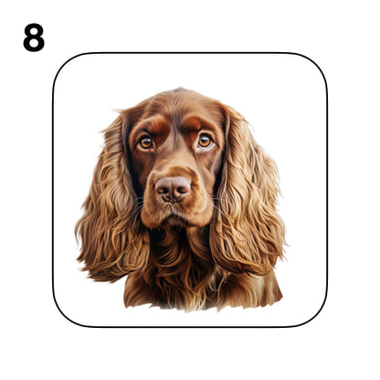 Coasters - 48x different images of Cocker Spaniel dog breed