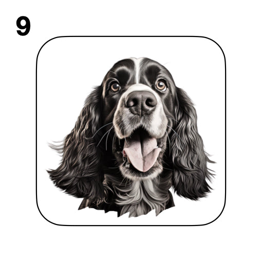 Coasters - 48x different images of Cocker Spaniel dog breed