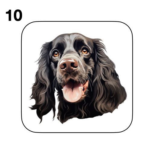 Coasters - 48x different images of Cocker Spaniel dog breed
