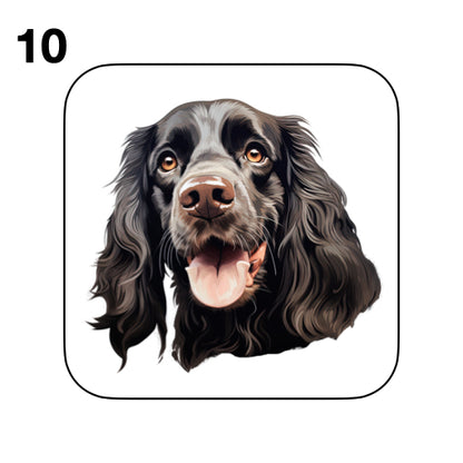 Coasters - 48x different images of Cocker Spaniel dog breed