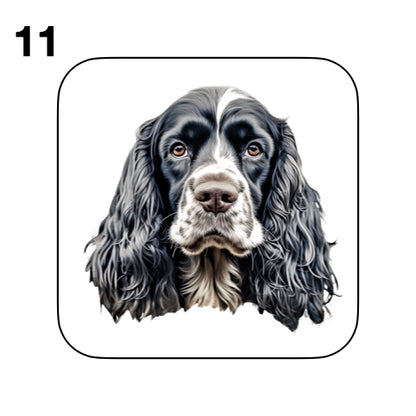Coasters - 48x different images of Cocker Spaniel dog breed