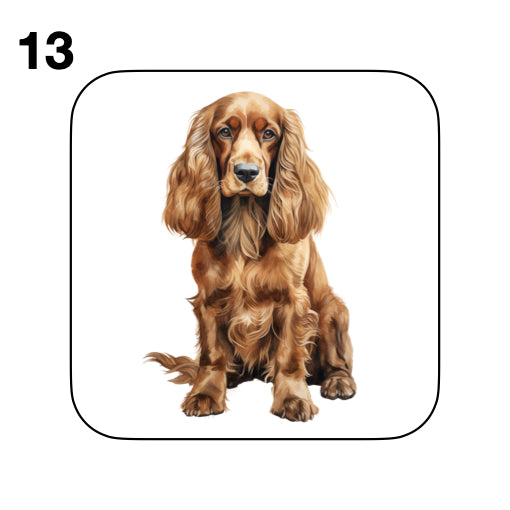 Coasters - 48x different images of Cocker Spaniel dog breed