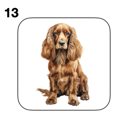 Coasters - 48x different images of Cocker Spaniel dog breed