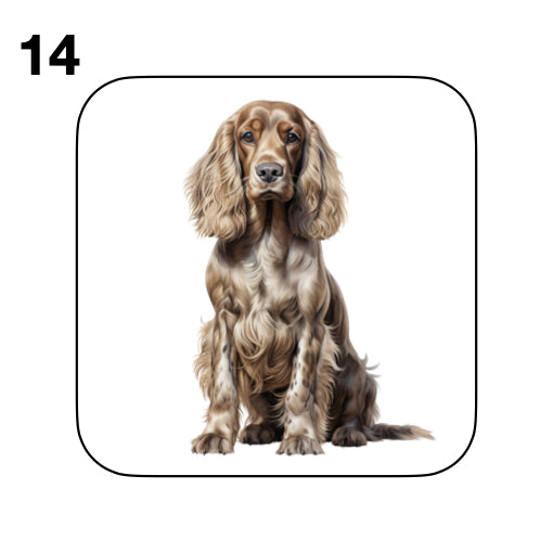 Coasters - 48x different images of Cocker Spaniel dog breed