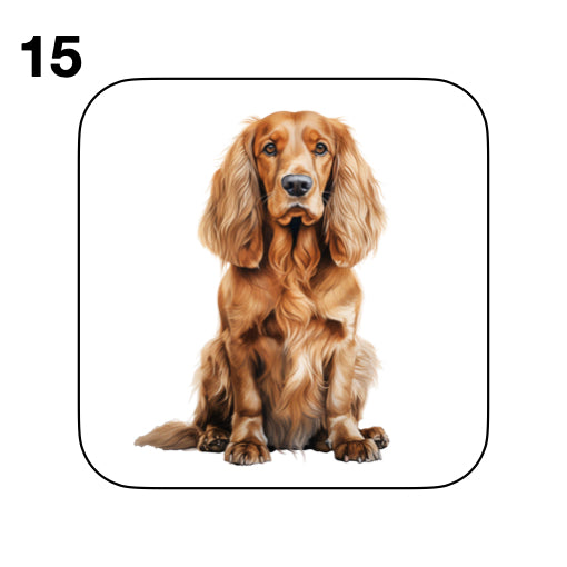 Coasters - 48x different images of Cocker Spaniel dog breed