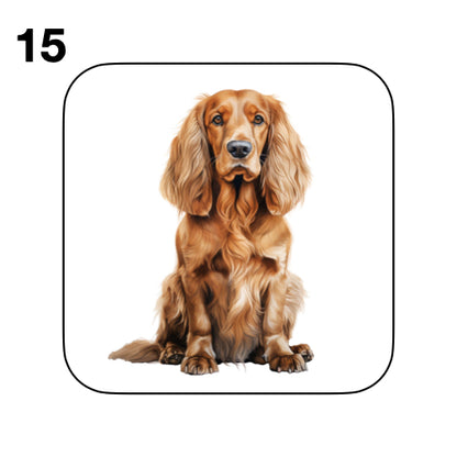 Coasters - 48x different images of Cocker Spaniel dog breed