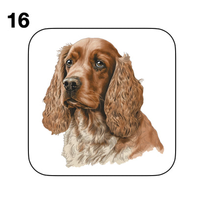 Coasters - 48x different images of Cocker Spaniel dog breed