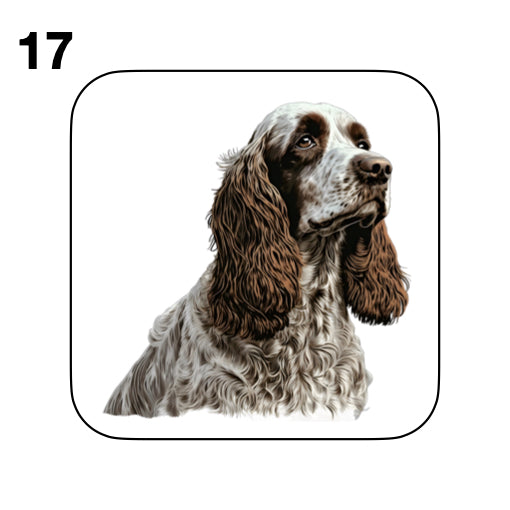 Coasters - 48x different images of Cocker Spaniel dog breed