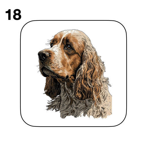 Coasters - 48x different images of Cocker Spaniel dog breed