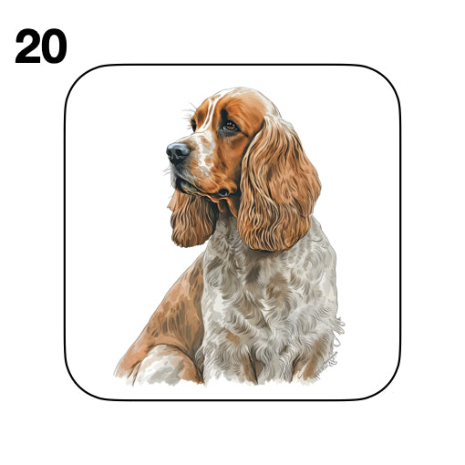 Coasters - 48x different images of Cocker Spaniel dog breed