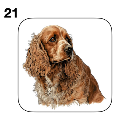 Coasters - 48x different images of Cocker Spaniel dog breed