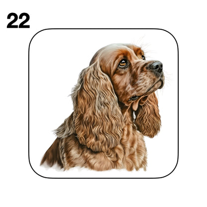 Coasters - 48x different images of Cocker Spaniel dog breed