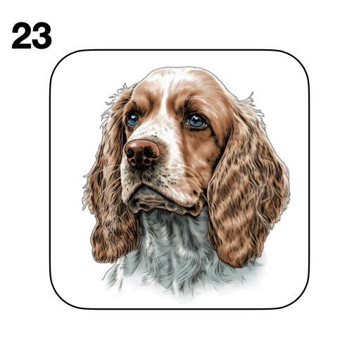 Coasters - 48x different images of Cocker Spaniel dog breed