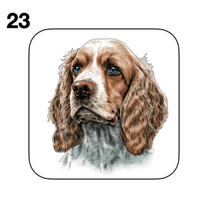 Coasters - 48x different images of Cocker Spaniel dog breed
