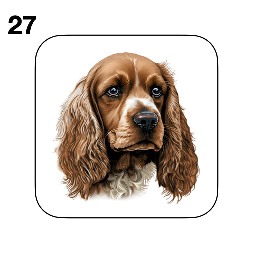 Coasters - 48x different images of Cocker Spaniel dog breed