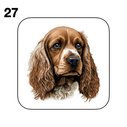 Coasters - 48x different images of Cocker Spaniel dog breed