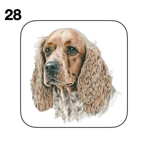 Coasters - 48x different images of Cocker Spaniel dog breed