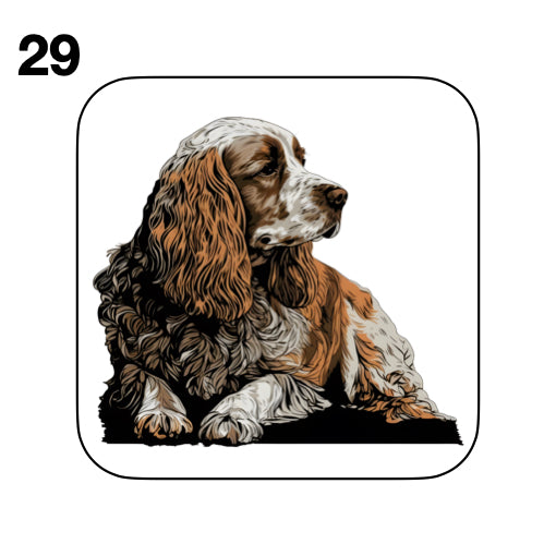 Coasters - 48x different images of Cocker Spaniel dog breed
