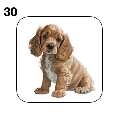 Coasters - 48x different images of Cocker Spaniel dog breed