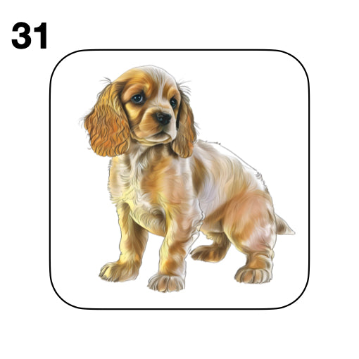 Coasters - 48x different images of Cocker Spaniel dog breed