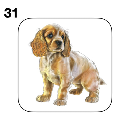 Coasters - 48x different images of Cocker Spaniel dog breed