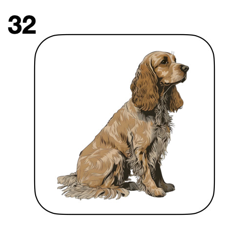 Coasters - 48x different images of Cocker Spaniel dog breed