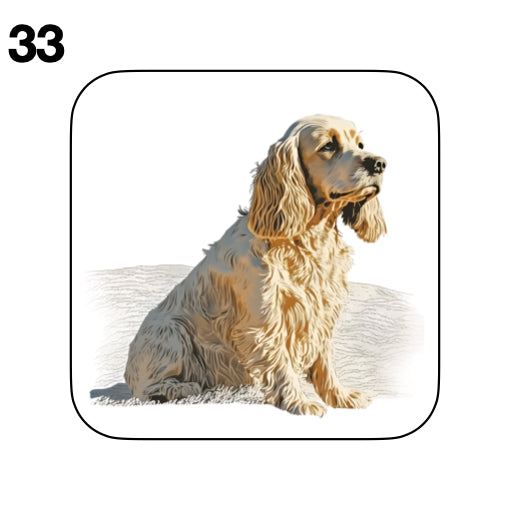 Coasters - 48x different images of Cocker Spaniel dog breed