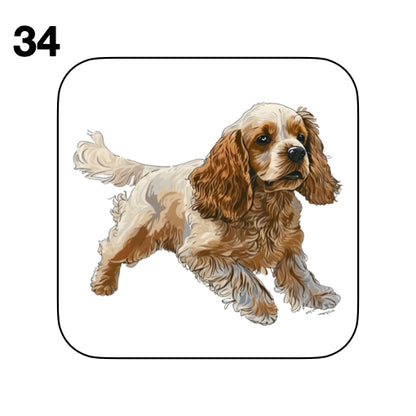 Coasters - 48x different images of Cocker Spaniel dog breed