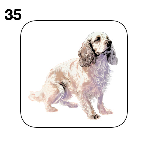 Coasters - 48x different images of Cocker Spaniel dog breed